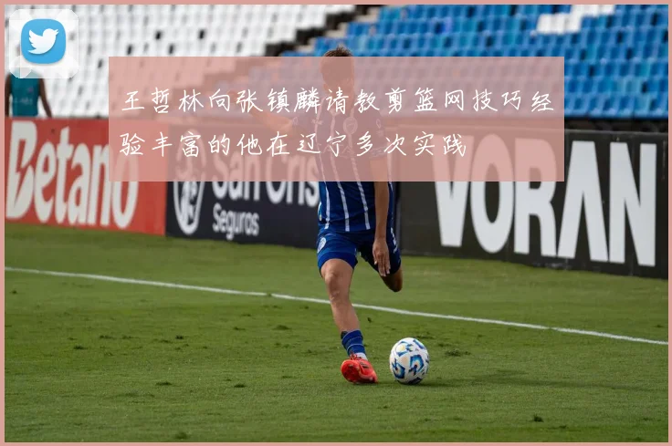 王哲林向张镇麟请教剪篮网技巧经验丰富的他在辽宁多次实践