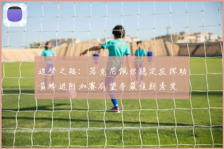 追梦之路：若克尼佩尔稳定发挥助黄蜂进附加赛有望夺最佳新秀奖